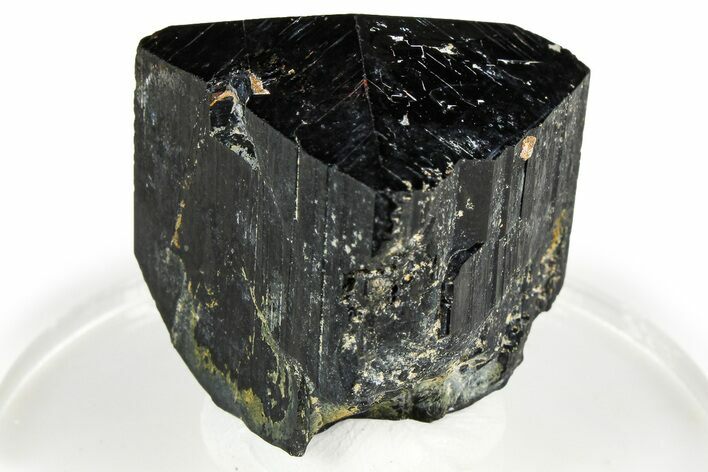 Lustrous Black Tourmaline (Schorl) Crystal - Namibia #373626